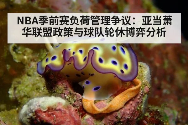 NBA季前赛负荷管理争议：亚当萧华联盟政策与球队轮休博弈分析